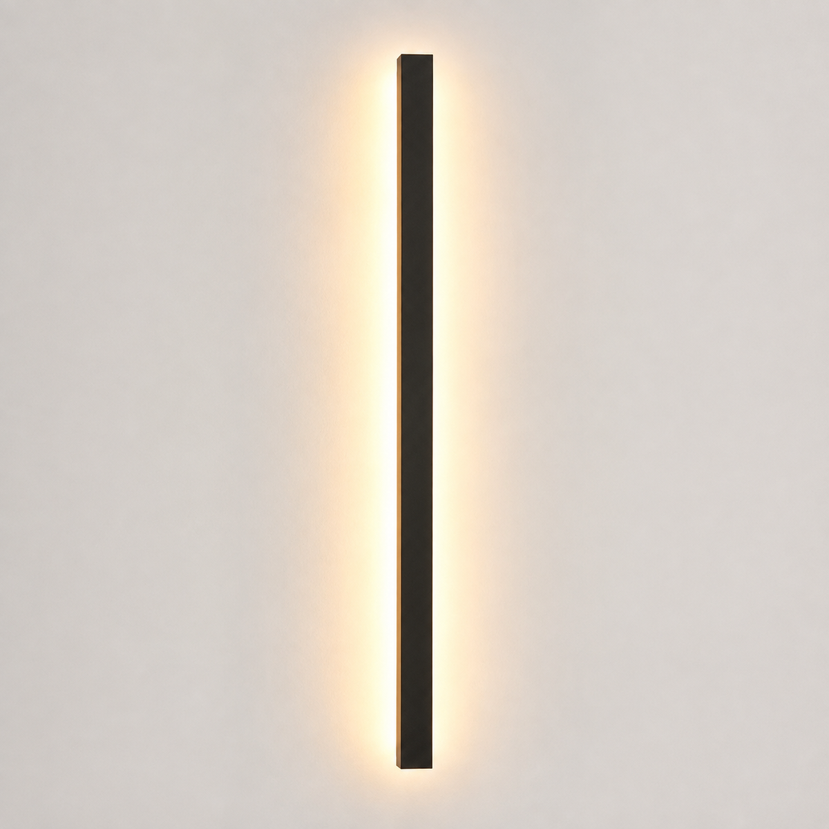Linear Outdoor and Indoor Wall Sconce, Metal And Acrylic, LED Lighting 1