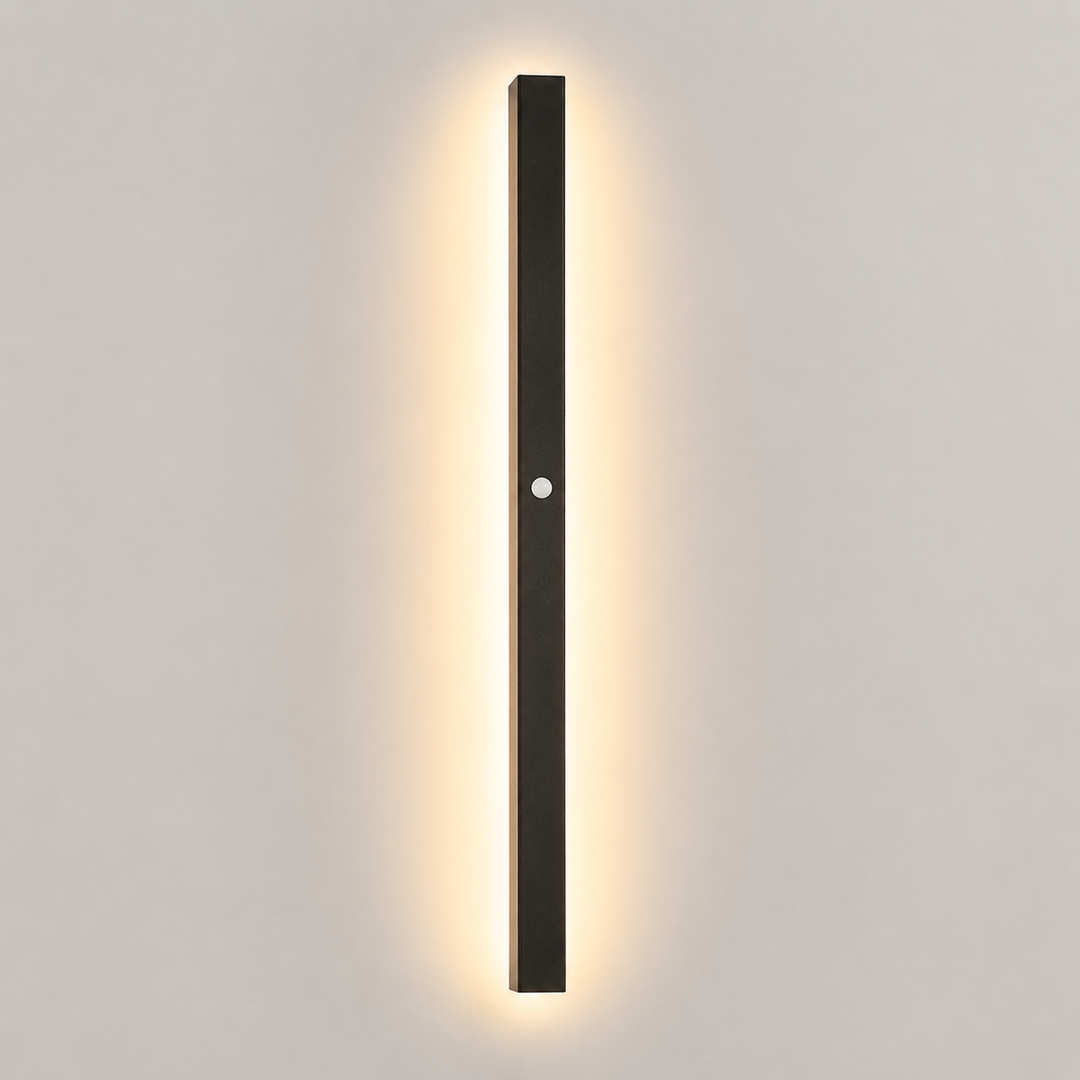Linear Outdoor and Indoor Wall Sconce, Metal And Acrylic, LED Lighting 13